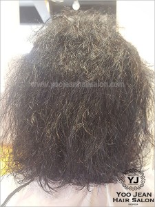 rebonding_iron_perm01