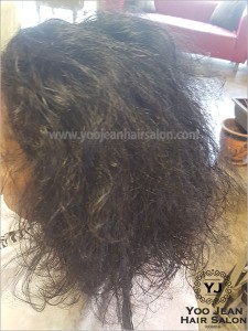 rebonding_iron_perm02