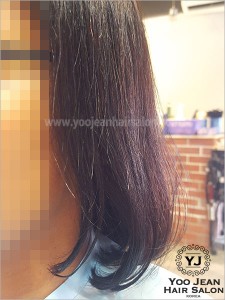 rebonding_iron_perm05