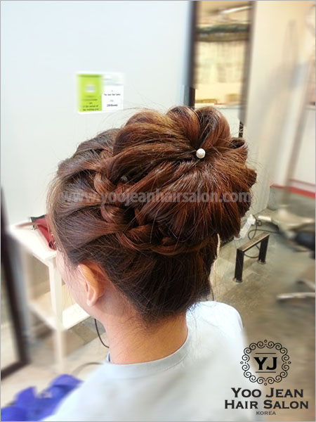 Braid Updo Style